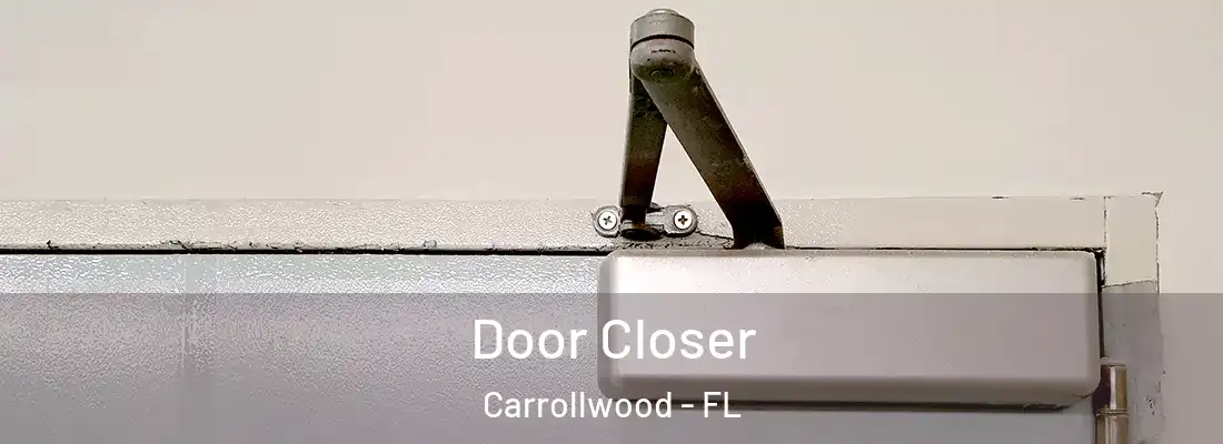  Door Closer Carrollwood - FL