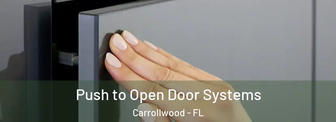  Push to Open Door Systems Carrollwood - FL