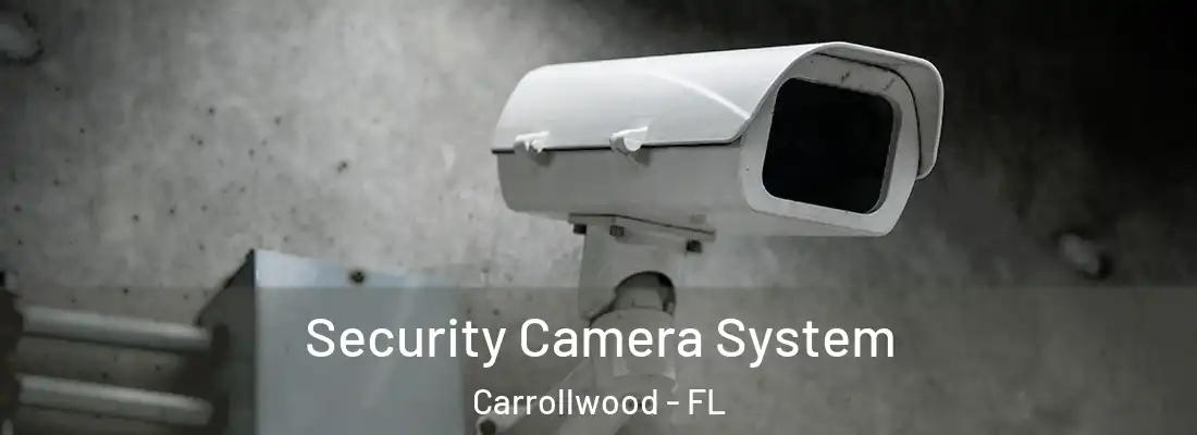  Security Camera System Carrollwood - FL