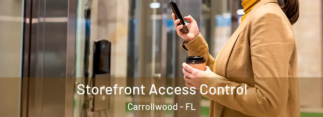 Storefront Access Control Carrollwood - FL